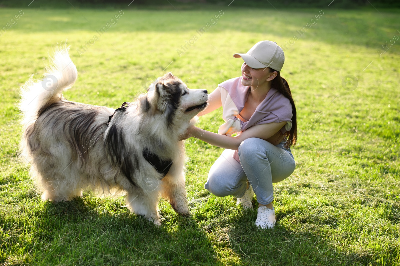 Photo of Smiling woman with her cute Alaskan malamute dog on green grass outdoors in morning