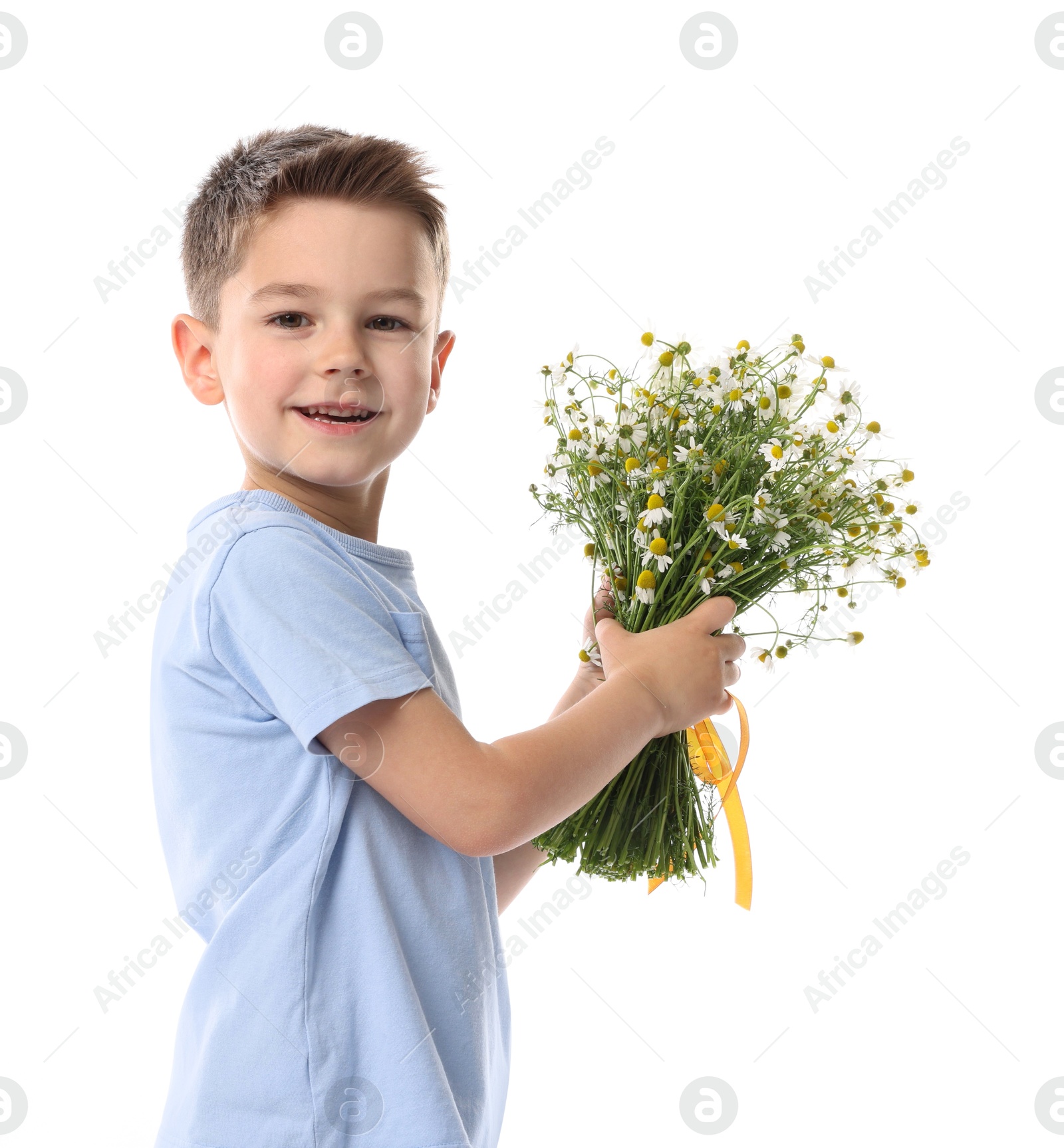 Smiling little boy with bouquet of beautiful chamomile flowers on white background Photo of Smiling little boy with bouquet of beautiful chamomile flowers on white background