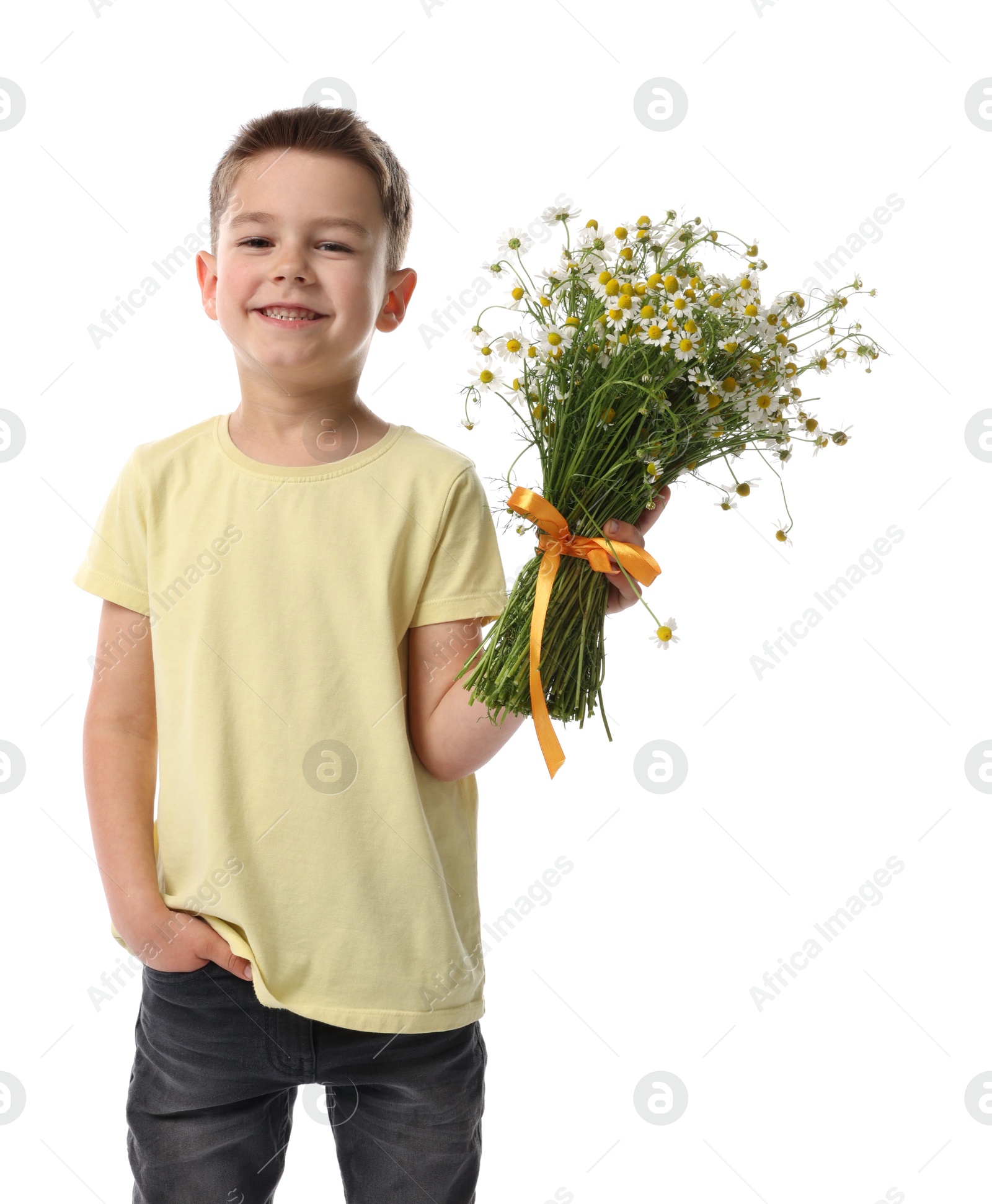 Smiling little boy with bouquet of beautiful chamomile flowers on white background Photo of Smiling little boy with bouquet of beautiful chamomile flowers on white background