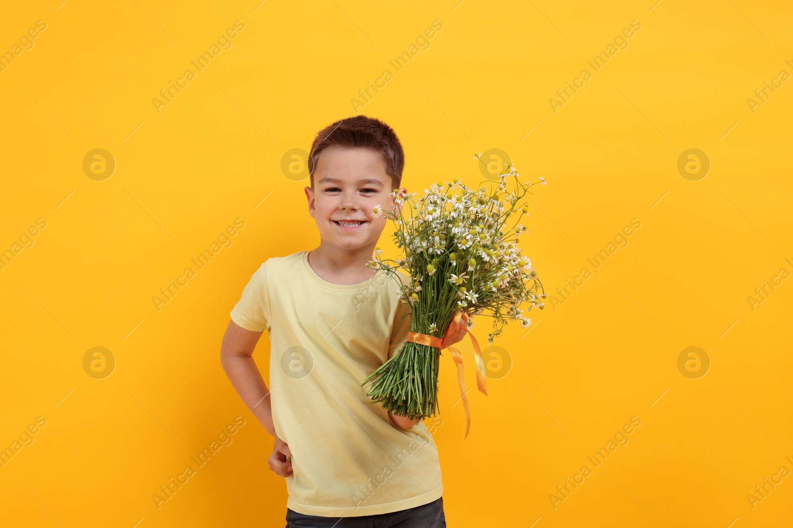 Smiling little boy with bouquet of beautiful chamomile flowers on yellow background Photo of Smiling little boy with bouquet of beautiful chamomile flowers on yellow background