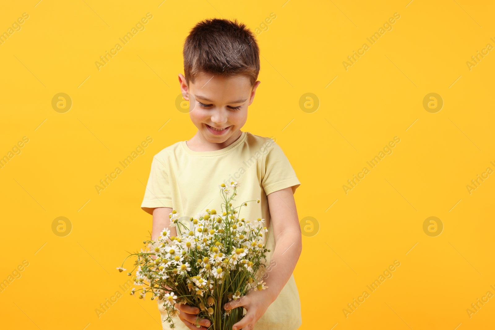 Smiling little boy with bouquet of beautiful chamomile flowers on yellow background Photo of Smiling little boy with bouquet of beautiful chamomile flowers on yellow background