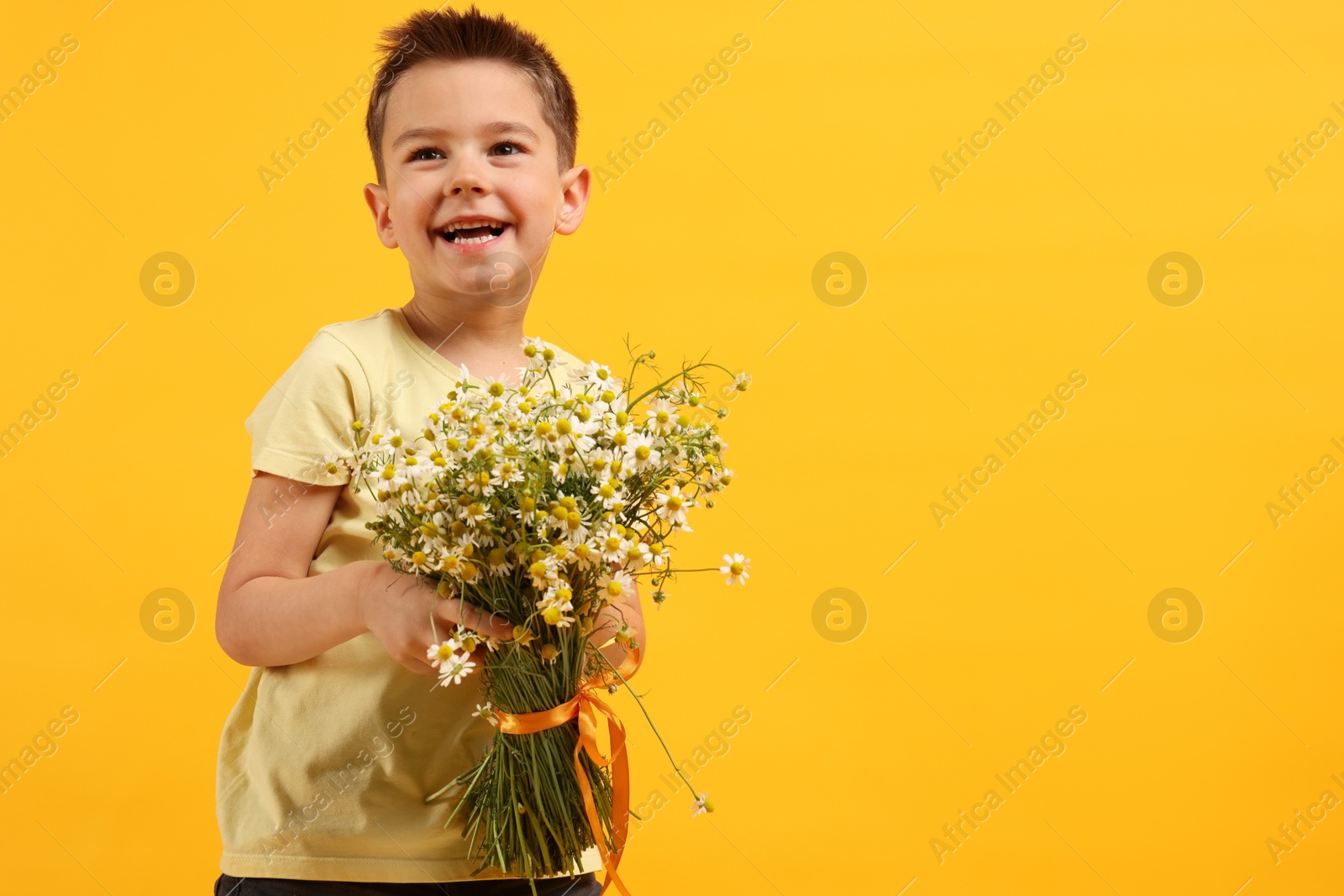 Photo of Smiling little boy with bouquet of beautiful chamomile flowers on yellow background. Space for text