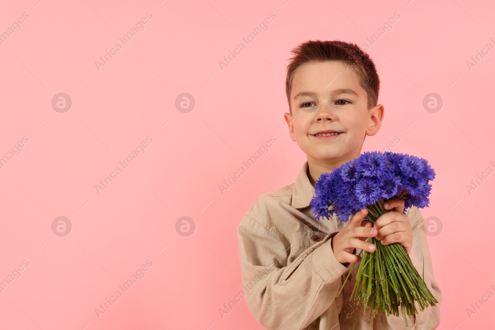 Smiling little boy with bouquet of beautiful cornflowers on pink background. Space for text Photo of Smiling little boy with bouquet of beautiful cornflowers on pink background. Space for text