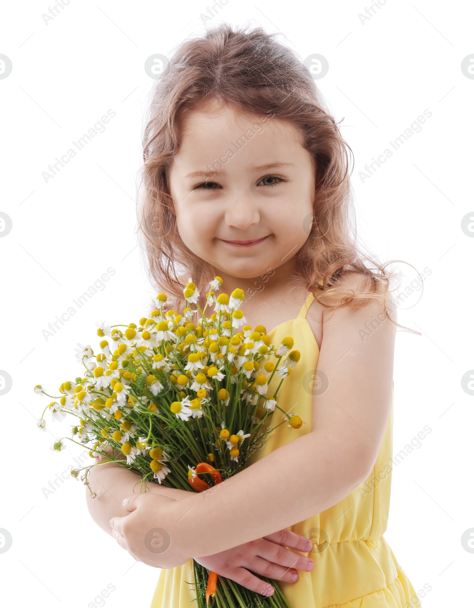 Photo of Cute little girl with bouquet of beautiful chamomile flowers on white background