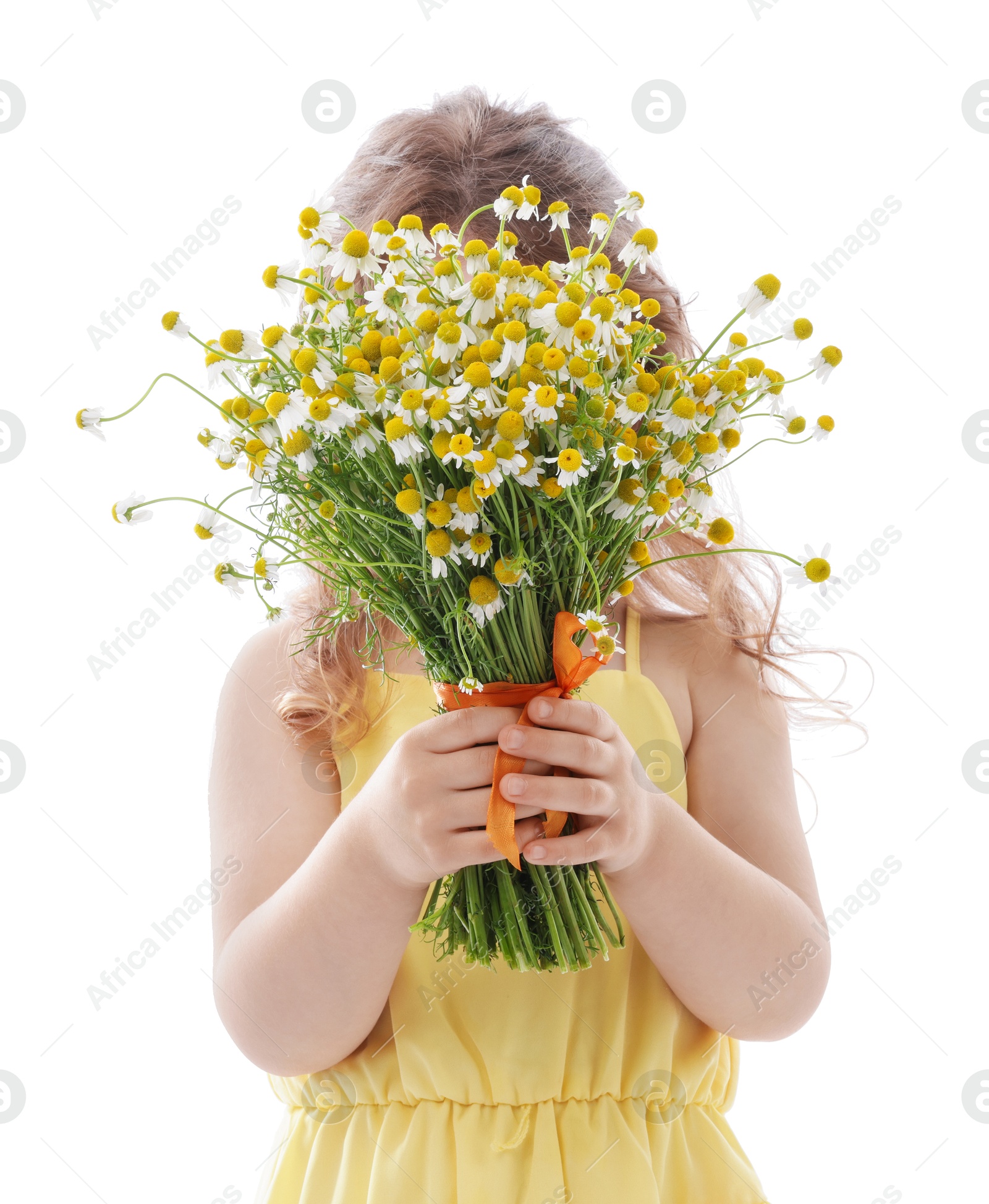 Photo of Cute little girl with bouquet of beautiful chamomile flowers on white background