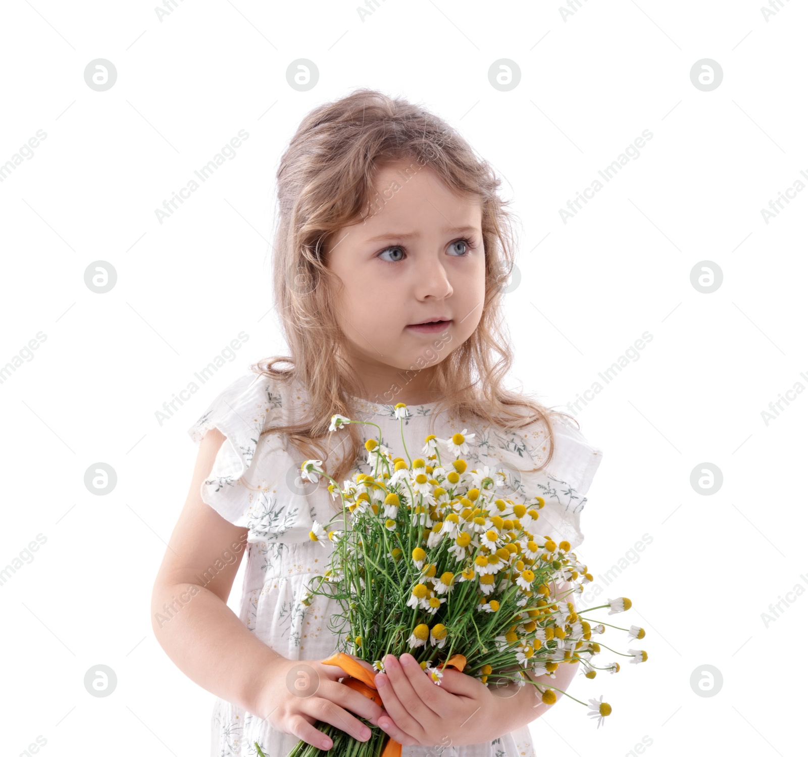 Photo of Cute little girl with bouquet of beautiful chamomile flowers on white background
