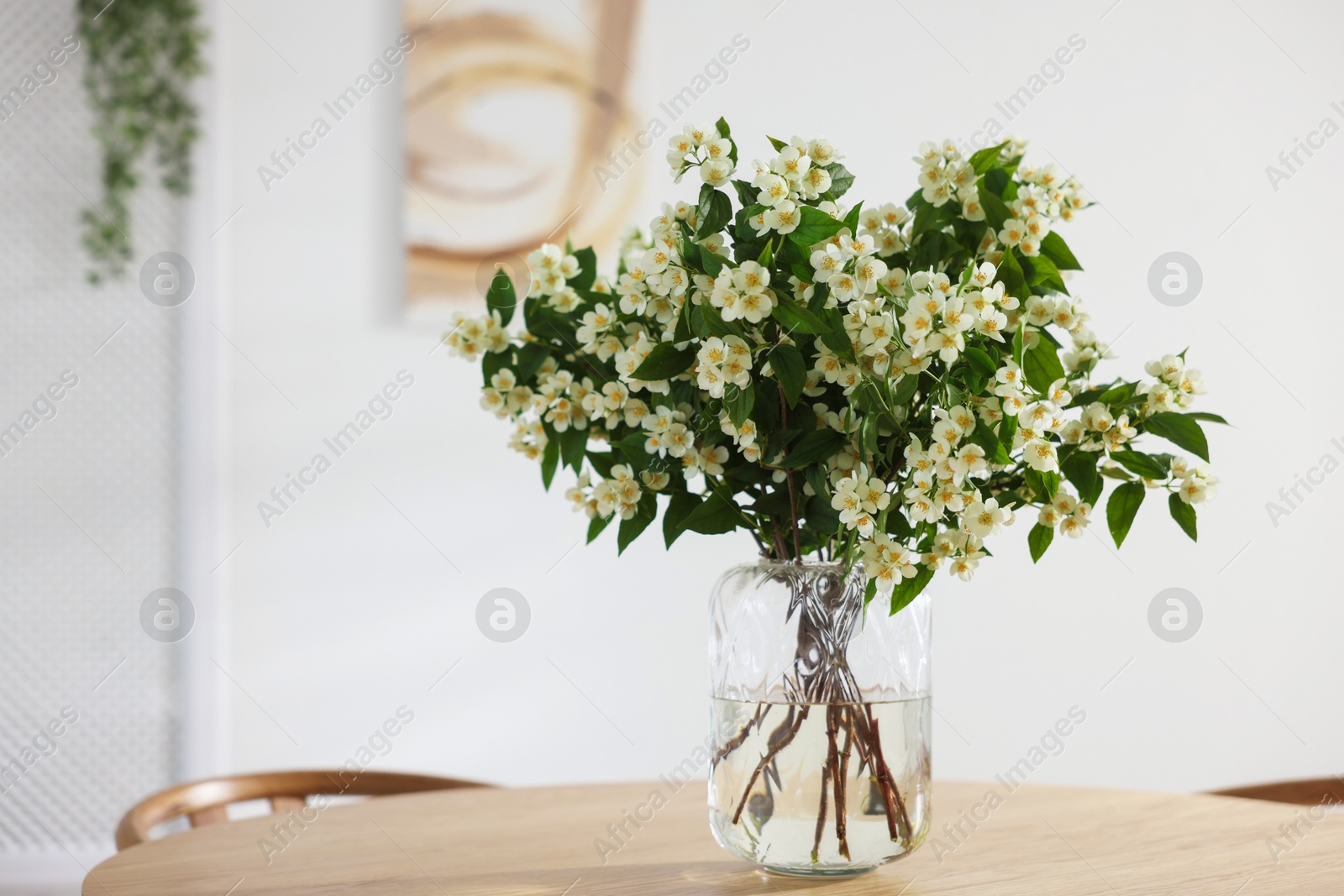 Bouquet of beautiful jasmine flowers in vase on wooden table indoors. Space for text Photo of Bouquet of beautiful jasmine flowers in vase on wooden table indoors. Space for text