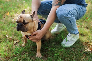 Photo of Man with his cute French bulldog in park, closeup