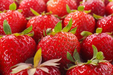 Photo of Many fresh ripe strawberries as background, closeup