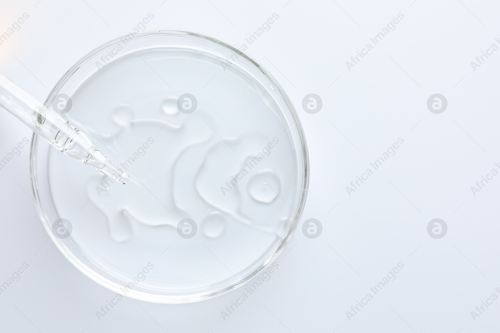 Cosmetic product and dropper in Petri dish on white background, top view Photo of Cosmetic product and dropper in Petri dish on white background, top view