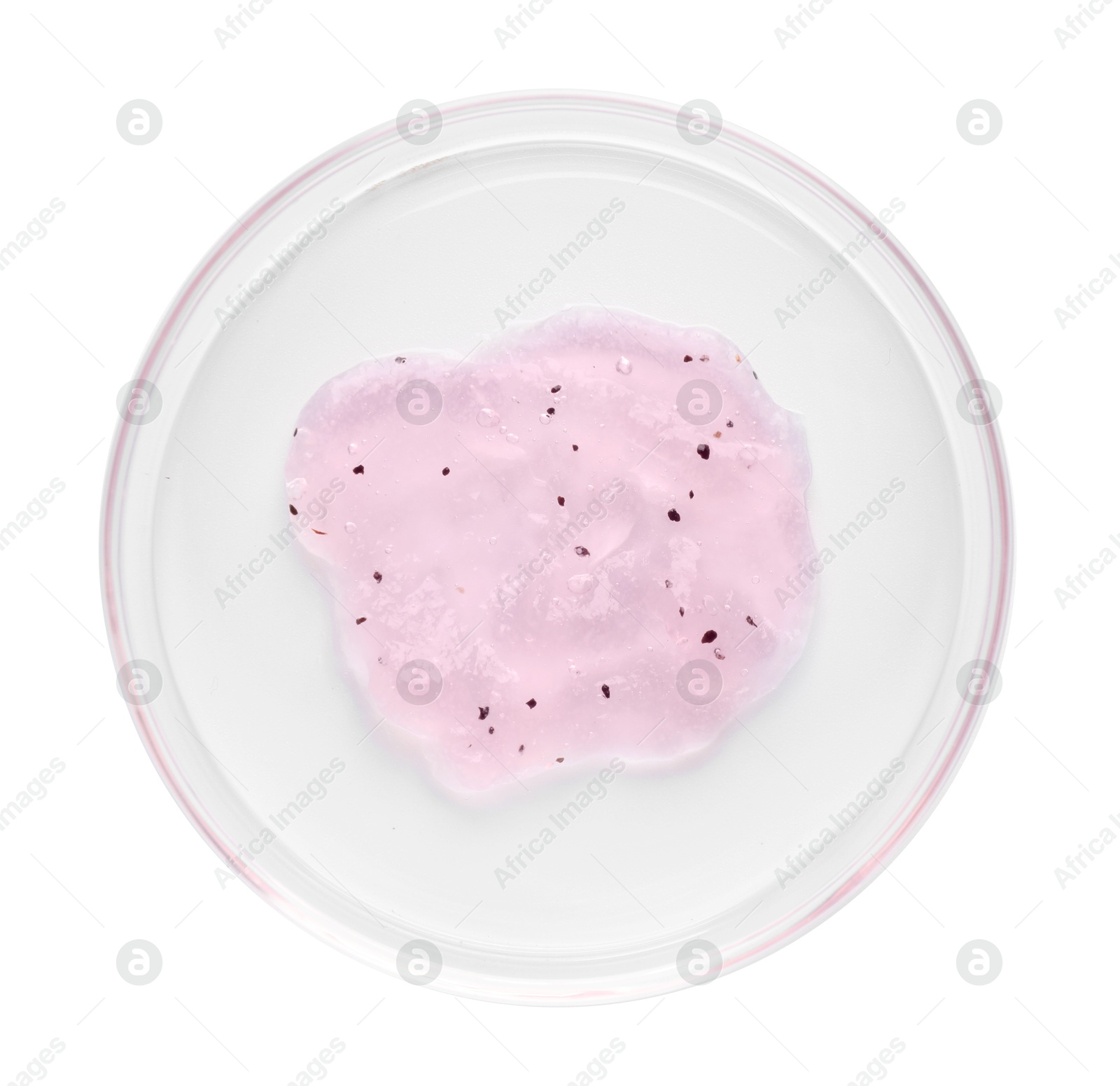 Cosmetic product in Petri dish isolated on white, top view Photo of Cosmetic product in Petri dish isolated on white, top view
