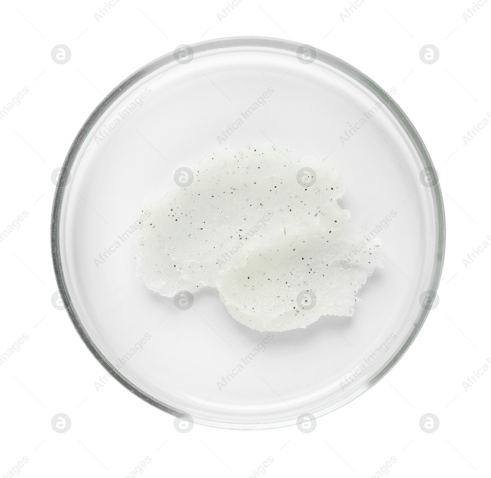 Cosmetic product in Petri dish isolated on white, top view Photo of Cosmetic product in Petri dish isolated on white, top view