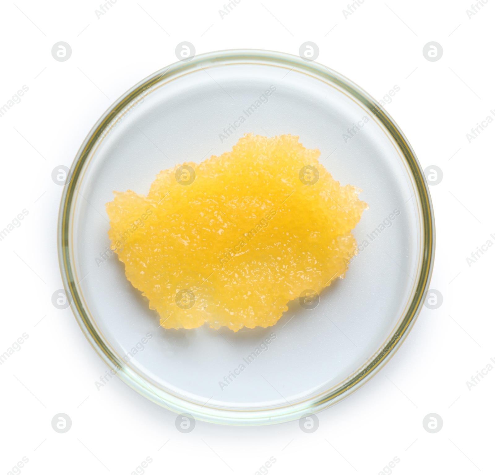 Cosmetic product in Petri dish isolated on white, top view Photo of Cosmetic product in Petri dish isolated on white, top view