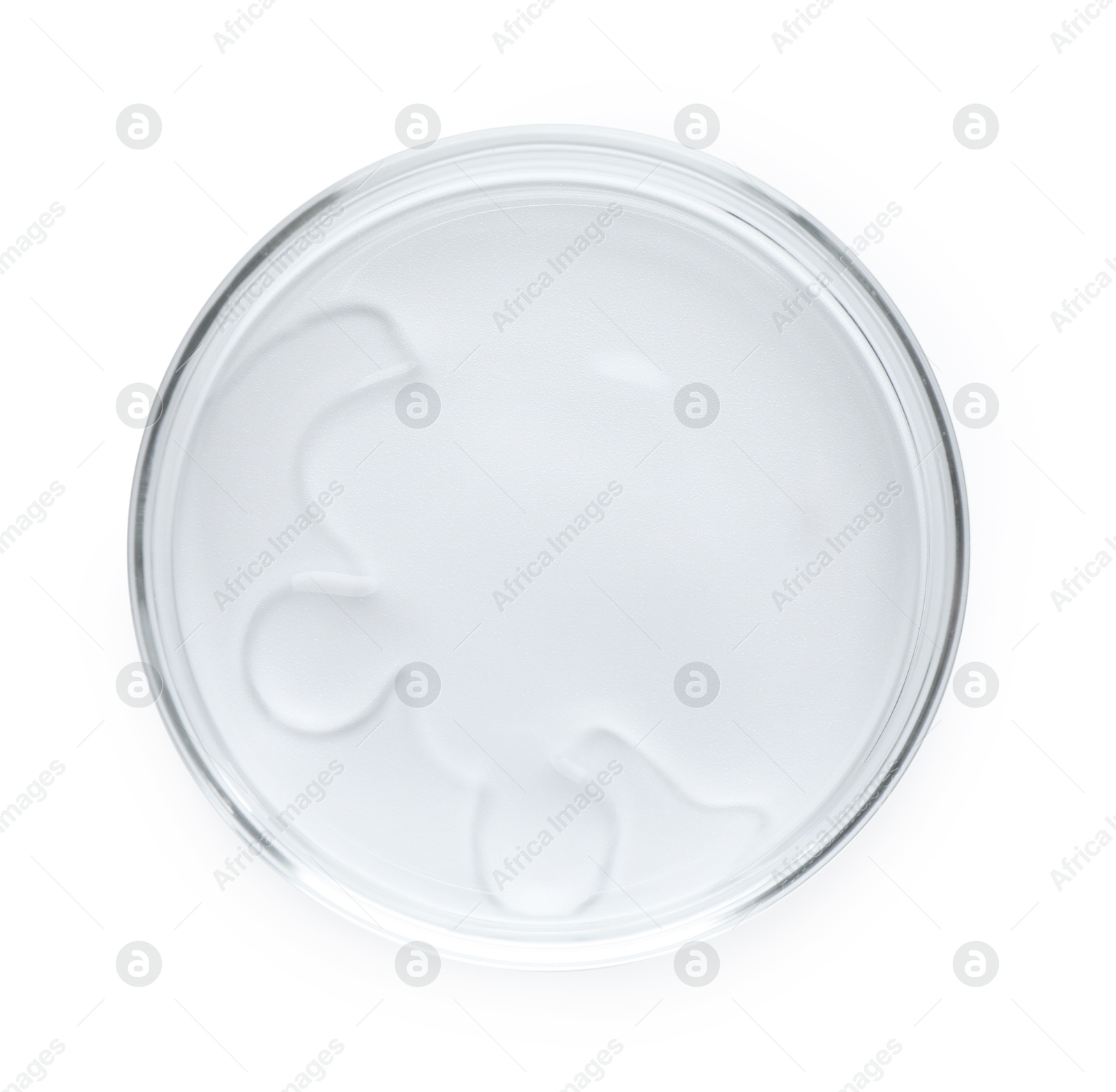 Cosmetic product in Petri dish isolated on white, top view Photo of Cosmetic product in Petri dish isolated on white, top view