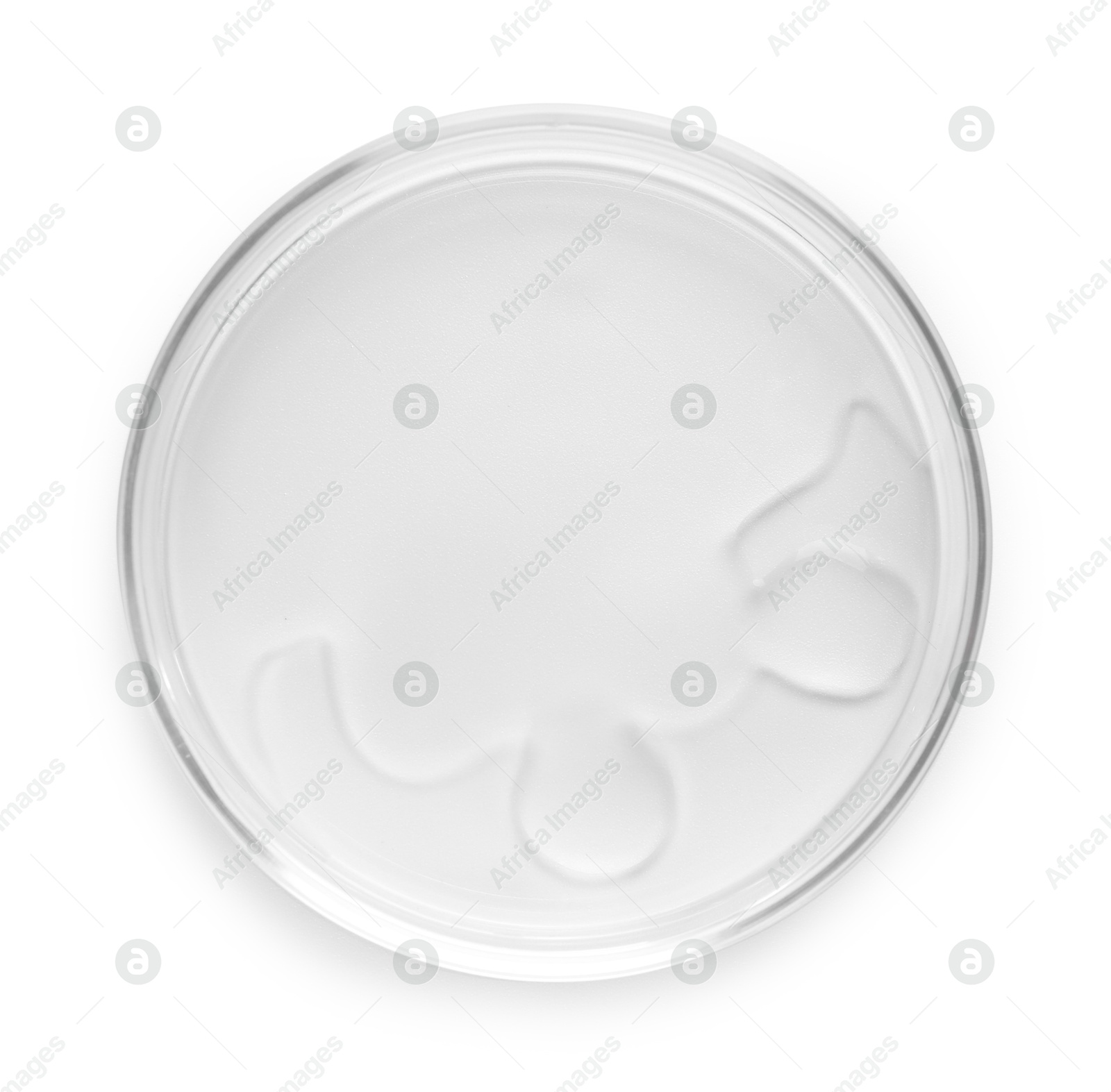 Cosmetic product in Petri dish isolated on white, top view Photo of Cosmetic product in Petri dish isolated on white, top view