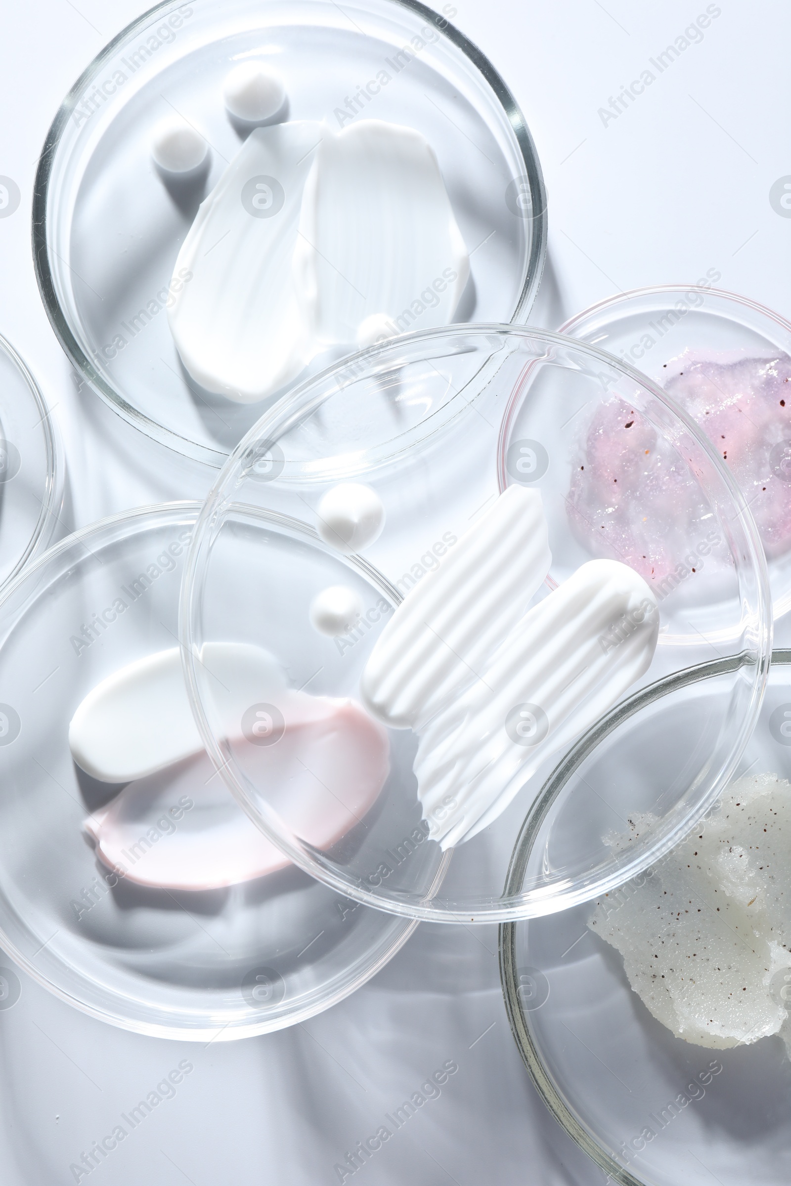 Different cosmetic products in Petri dishes on white background, closeup Photo of Different cosmetic products in Petri dishes on white background, closeup