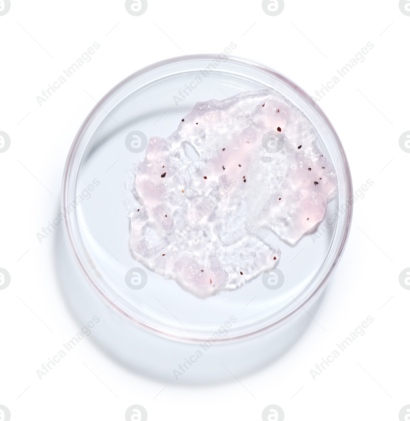 Cosmetic product in Petri dish isolated on white, top view Photo of Cosmetic product in Petri dish isolated on white, top view