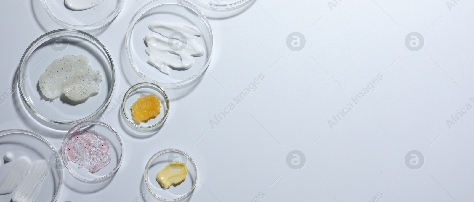 Different cosmetic products in Petri dishes on white background, flat lay. Space for text Photo of Different cosmetic products in Petri dishes on white background, flat lay. Space for text
