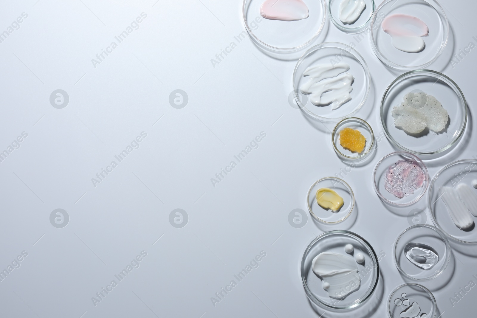 Different cosmetic products in Petri dishes on white background, flat lay. Space for text Photo of Different cosmetic products in Petri dishes on white background, flat lay. Space for text