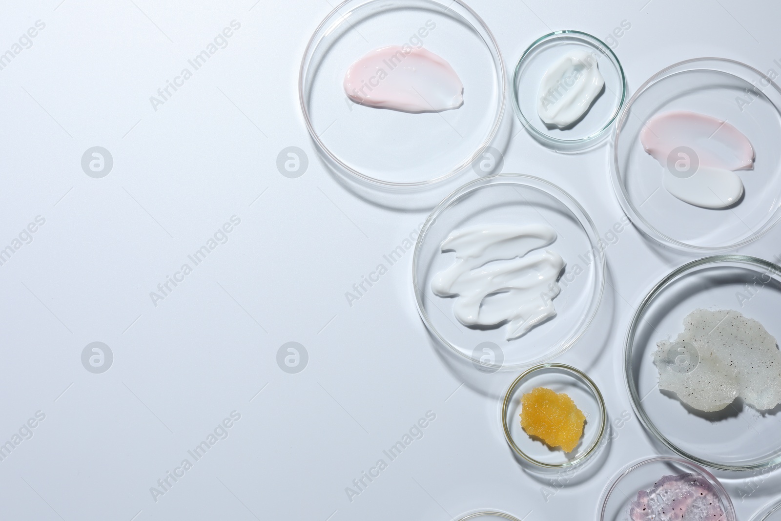 Different cosmetic products in Petri dishes on white background, flat lay. Space for text Photo of Different cosmetic products in Petri dishes on white background, flat lay. Space for text