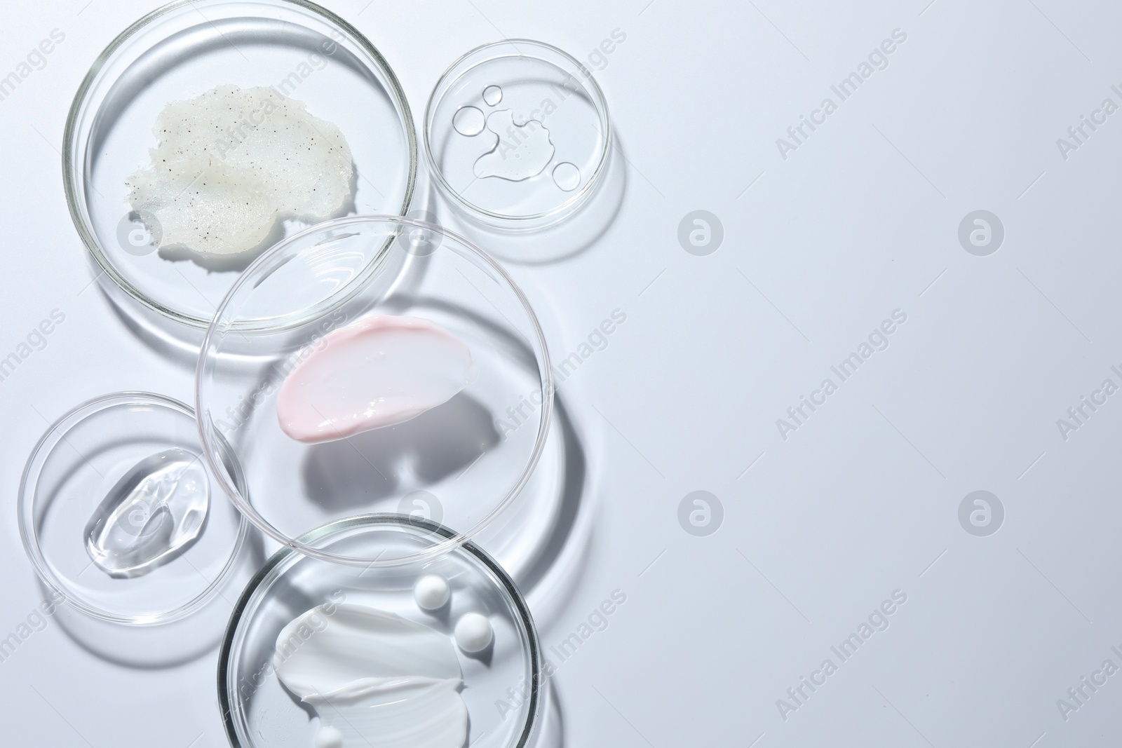 Different cosmetic products in Petri dishes on white background, flat lay. Space for text Photo of Different cosmetic products in Petri dishes on white background, flat lay. Space for text