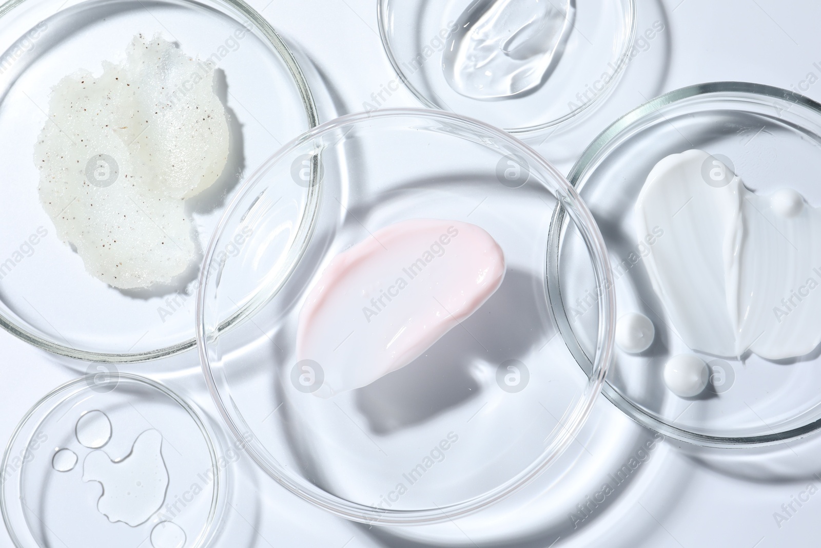 Different cosmetic products in Petri dishes on white background, closeup Photo of Different cosmetic products in Petri dishes on white background, closeup