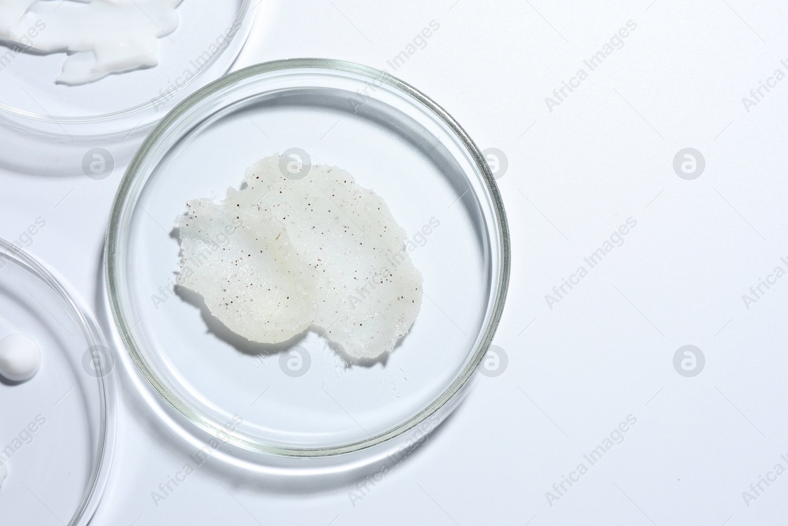 Different cosmetic products in Petri dishes on white background, flat lay. Space for text Photo of Different cosmetic products in Petri dishes on white background, flat lay. Space for text