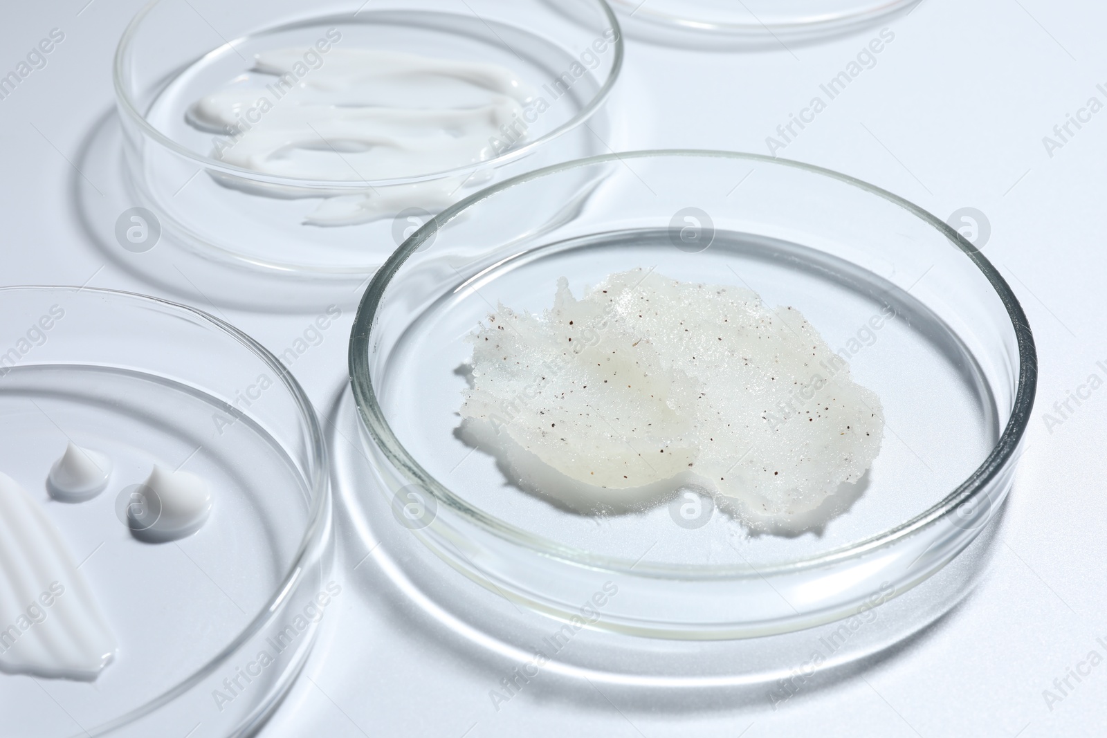Different cosmetic products in Petri dishes on white background, closeup Photo of Different cosmetic products in Petri dishes on white background, closeup