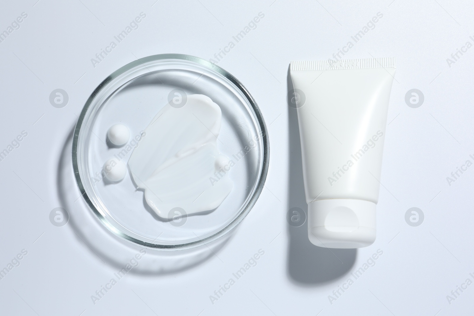 Cosmetic product in Petri dish and tube on white background, top view Photo of Cosmetic product in Petri dish and tube on white background, top view