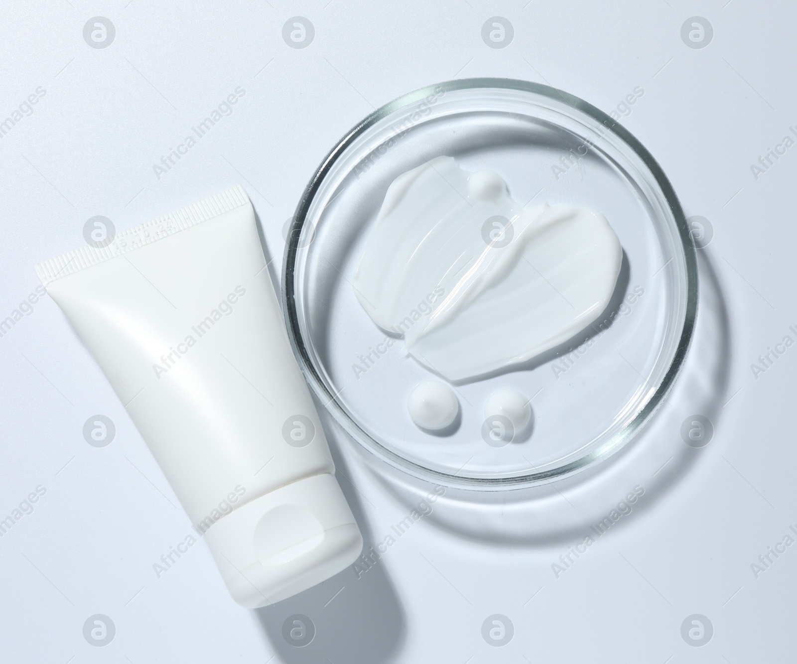 Cosmetic product in Petri dish and tube on white background, top view Photo of Cosmetic product in Petri dish and tube on white background, top view