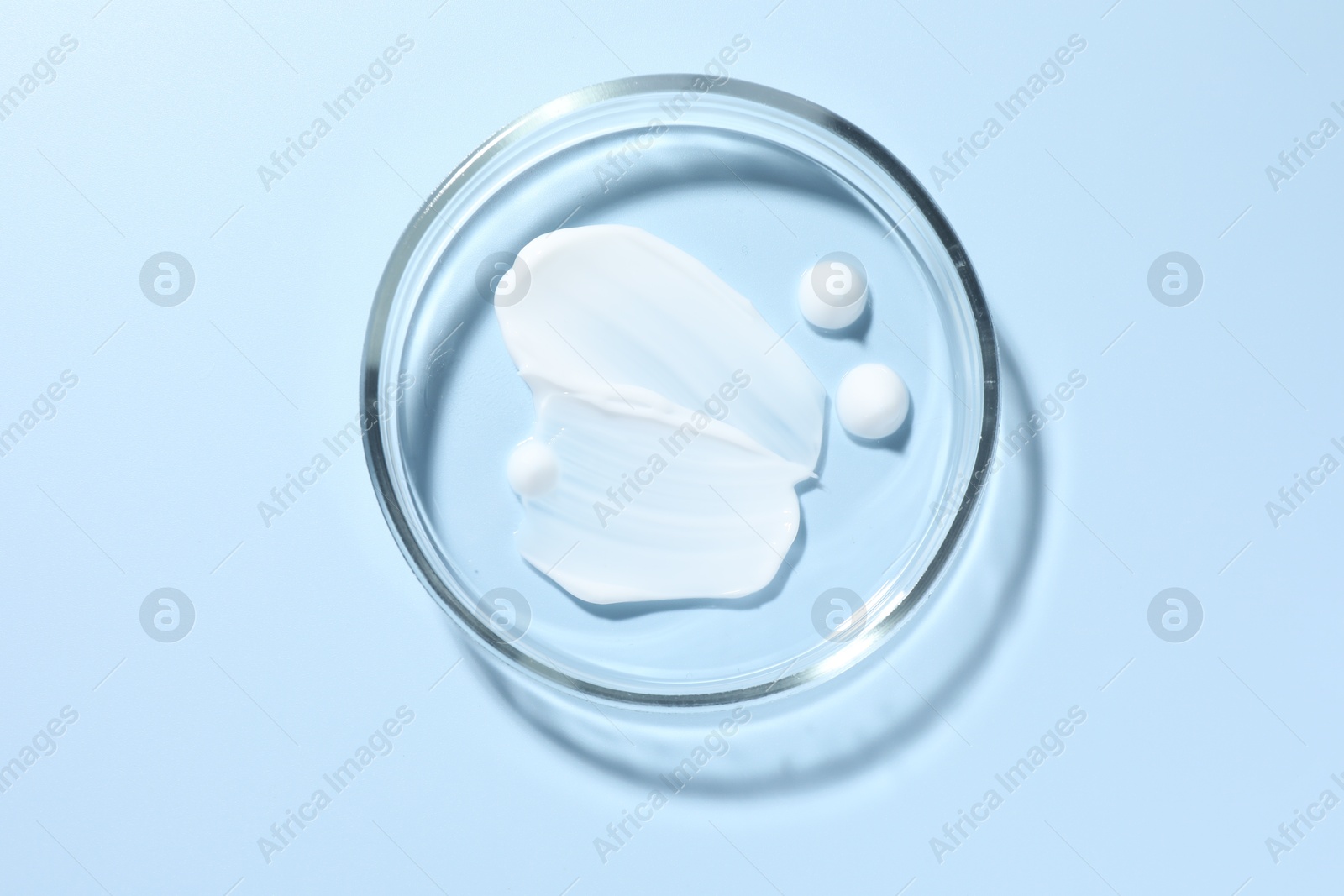 Cosmetic product in Petri dish on light blue background, top view Photo of Cosmetic product in Petri dish on light blue background, top view