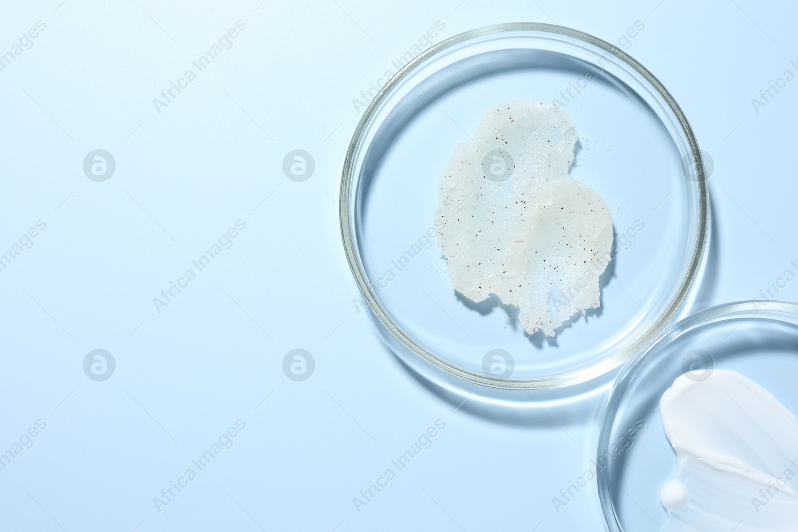 Different cosmetic products in Petri dishes on light blue background, flat lay. Space for text Photo of Different cosmetic products in Petri dishes on light blue background, flat lay. Space for text