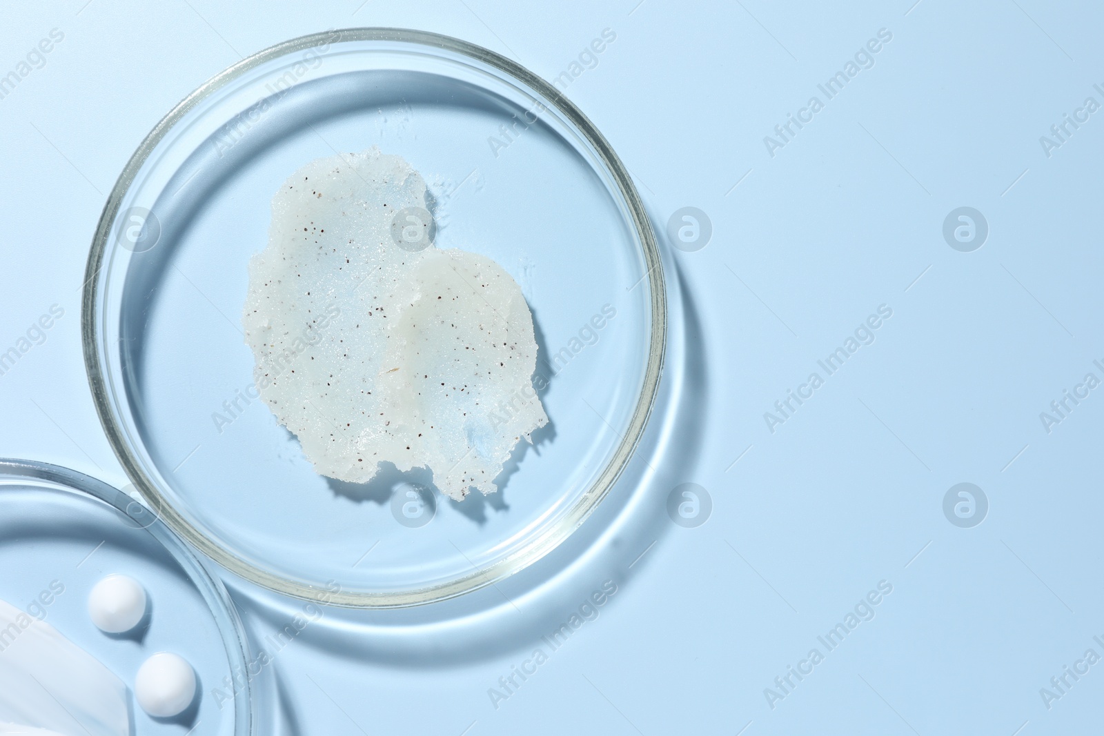 Photo of Different cosmetic products in Petri dishes on light blue background, flat lay. Space for text