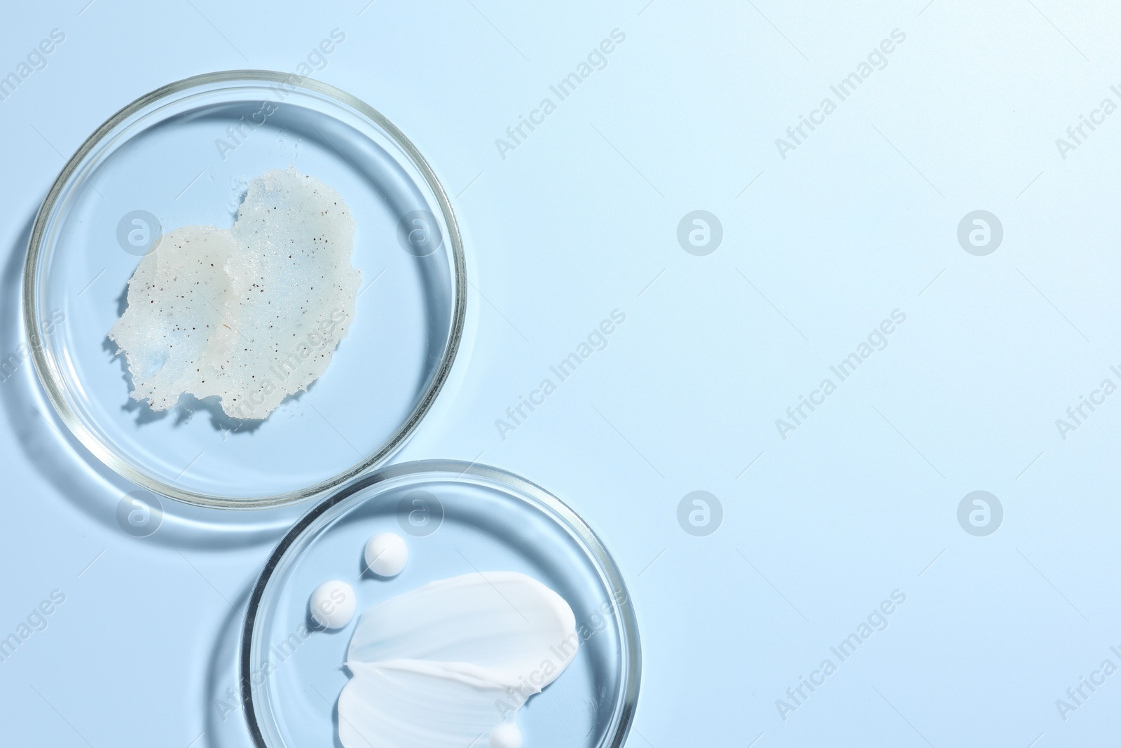 Photo of Different cosmetic products in Petri dishes on light blue background, flat lay. Space for text
