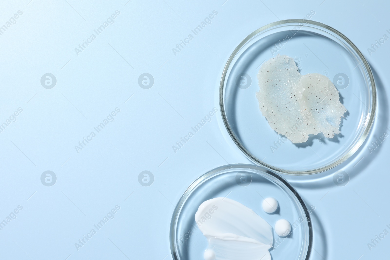 Different cosmetic products in Petri dishes on light blue background, flat lay. Space for text Photo of Different cosmetic products in Petri dishes on light blue background, flat lay. Space for text