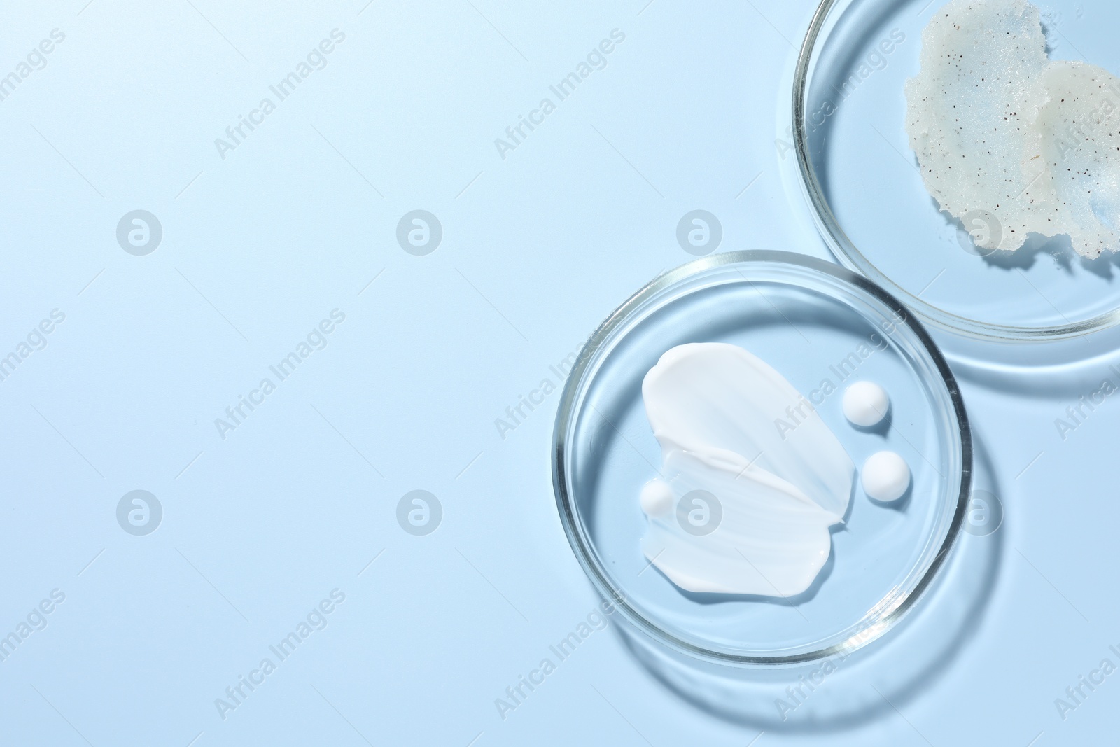 Different cosmetic products in Petri dishes on light blue background, flat lay. Space for text Photo of Different cosmetic products in Petri dishes on light blue background, flat lay. Space for text