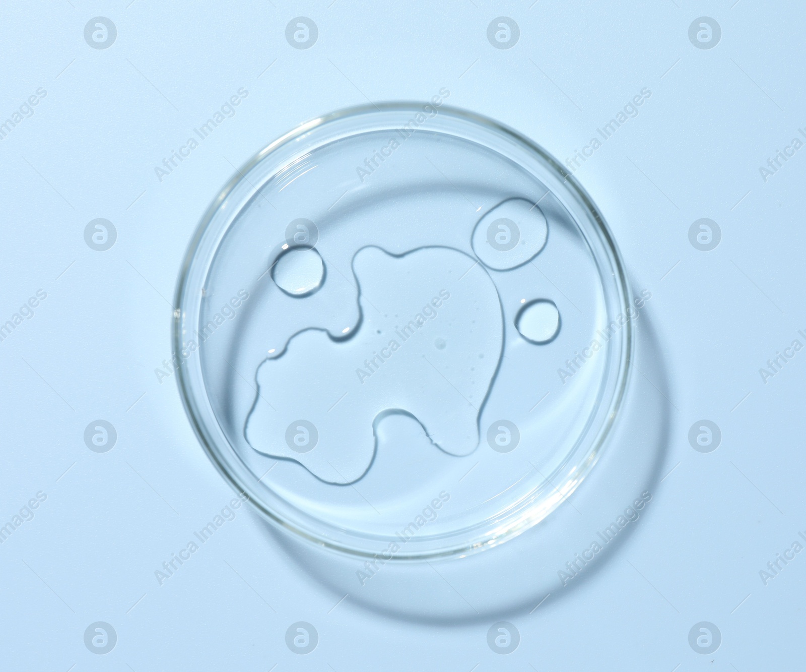 Cosmetic product in Petri dish on light blue background, top view Photo of Cosmetic product in Petri dish on light blue background, top view