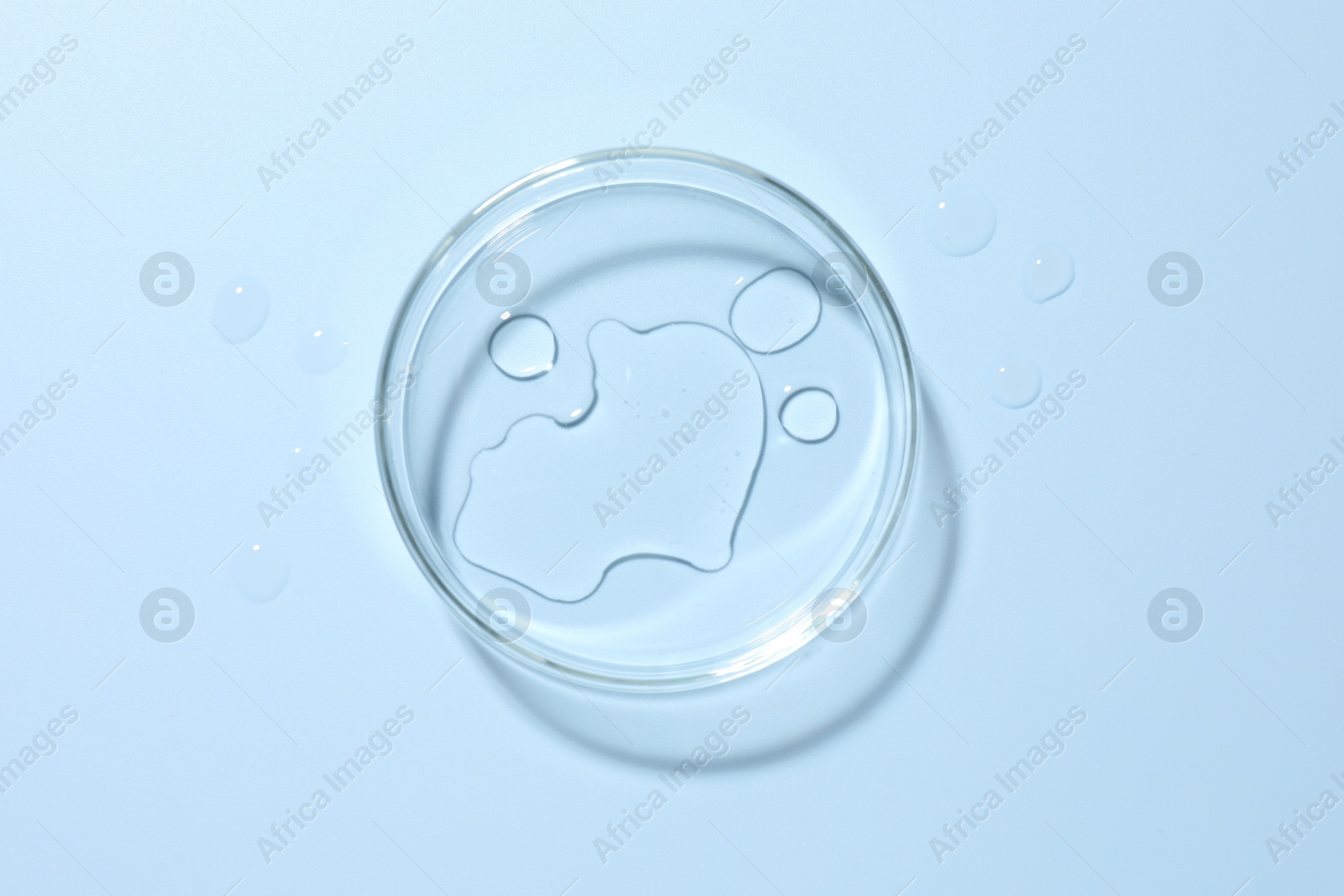 Cosmetic product in Petri dish on light blue background, top view Photo of Cosmetic product in Petri dish on light blue background, top view