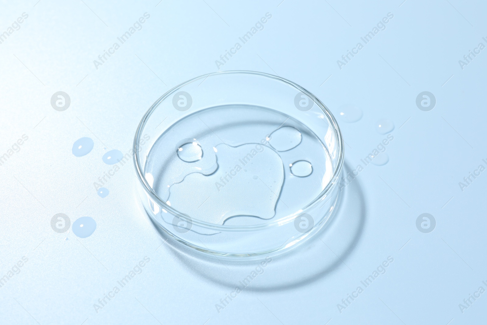 Cosmetic product in Petri dish on light blue background, closeup Photo of Cosmetic product in Petri dish on light blue background, closeup