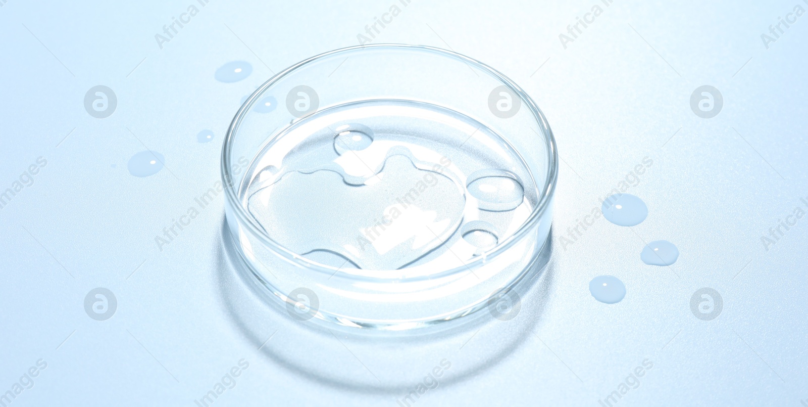 Cosmetic product in Petri dish on light blue background, closeup Photo of Cosmetic product in Petri dish on light blue background, closeup