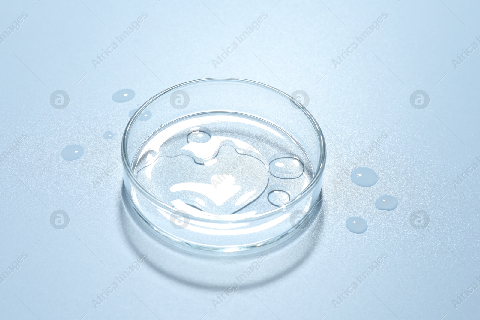 Cosmetic product in Petri dish on light blue background, closeup Photo of Cosmetic product in Petri dish on light blue background, closeup