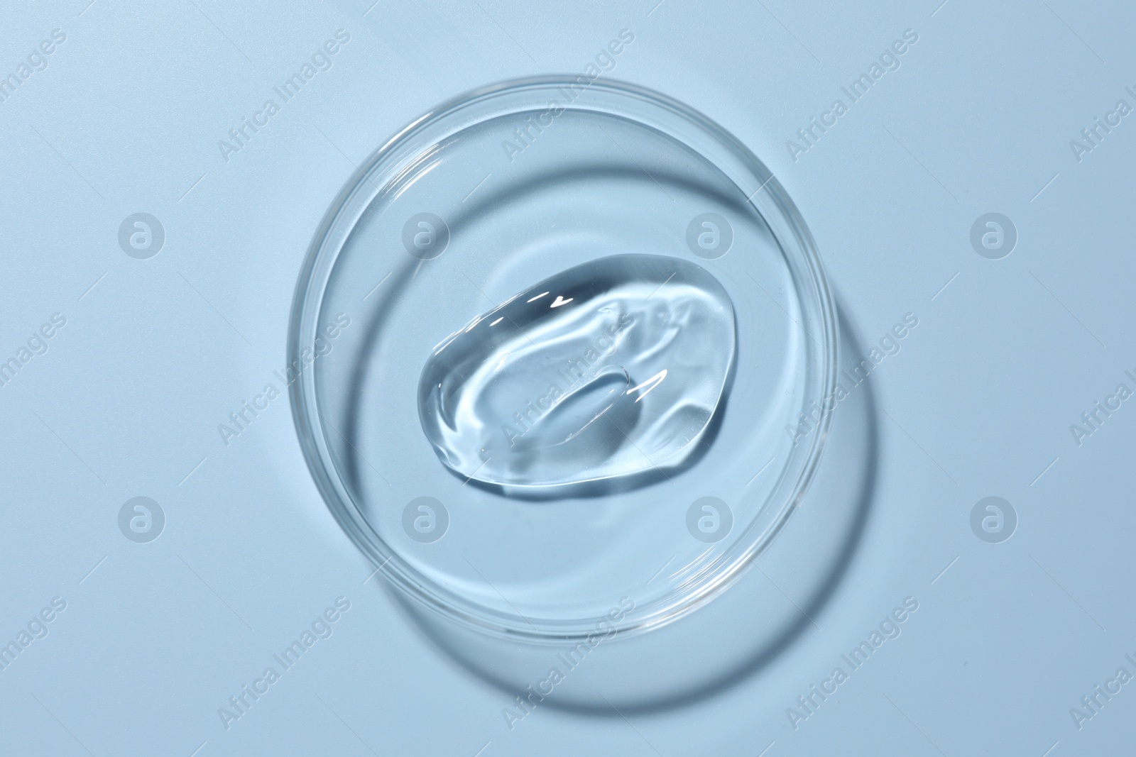 Cosmetic product in Petri dish on light blue background, top view Photo of Cosmetic product in Petri dish on light blue background, top view