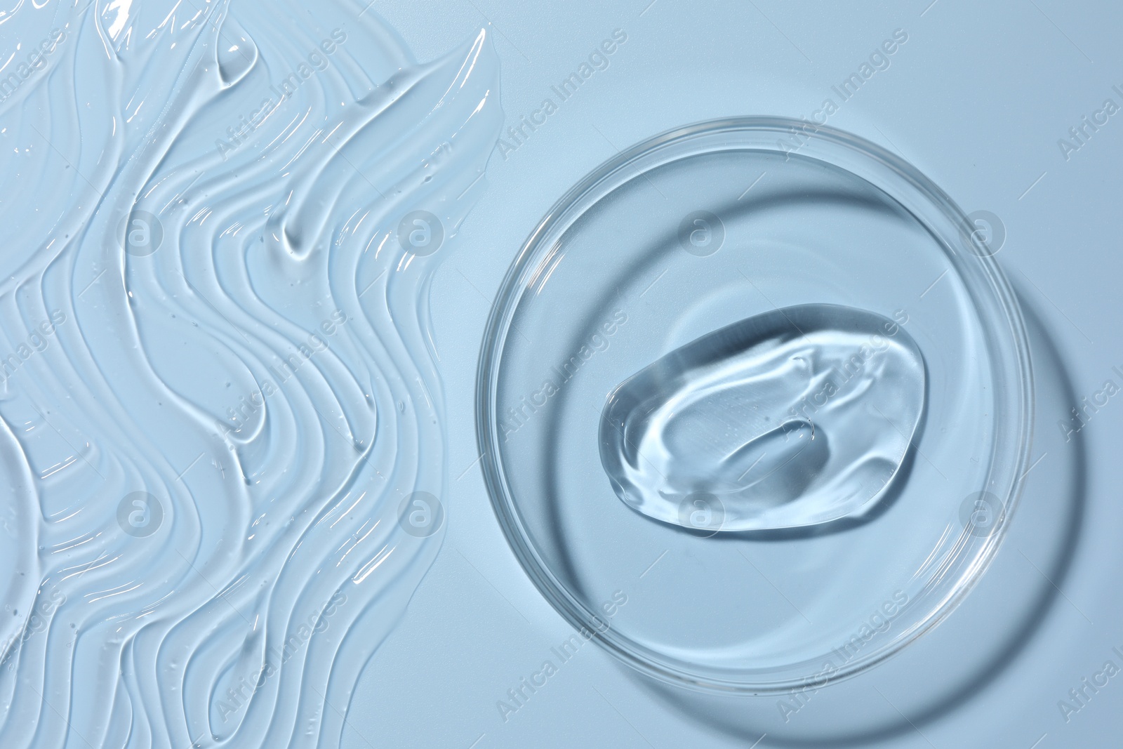 Cosmetic product in Petri dish on light blue background, top view Photo of Cosmetic product in Petri dish on light blue background, top view