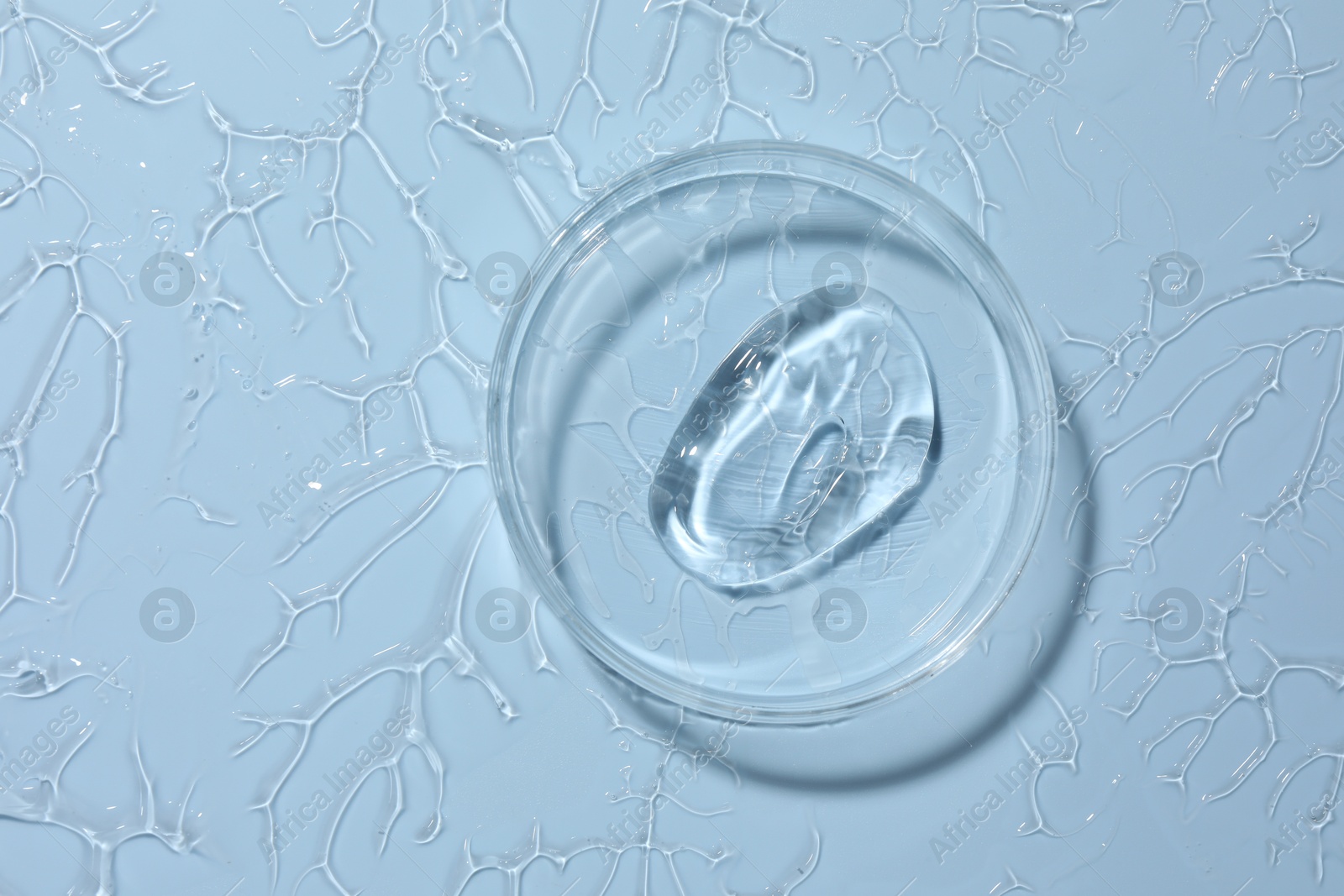 Cosmetic product in Petri dish on light blue background, top view Photo of Cosmetic product in Petri dish on light blue background, top view