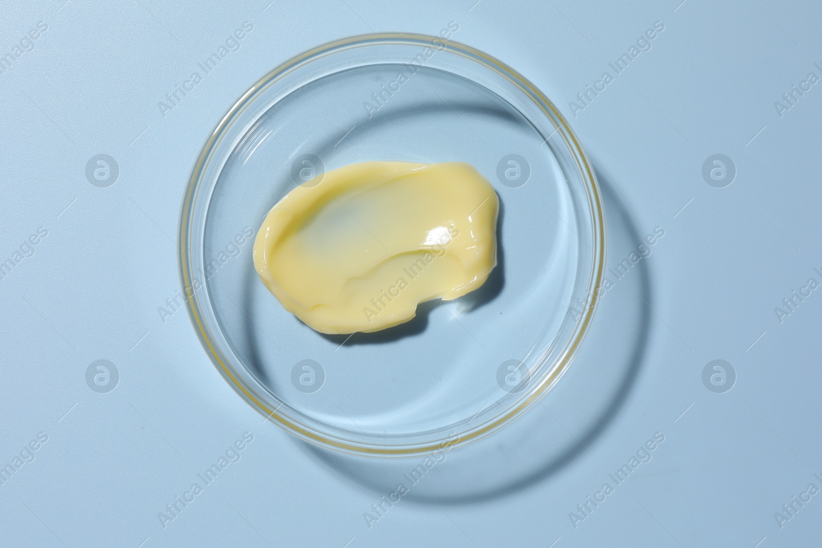 Cosmetic product in Petri dish on light blue background, top view Photo of Cosmetic product in Petri dish on light blue background, top view