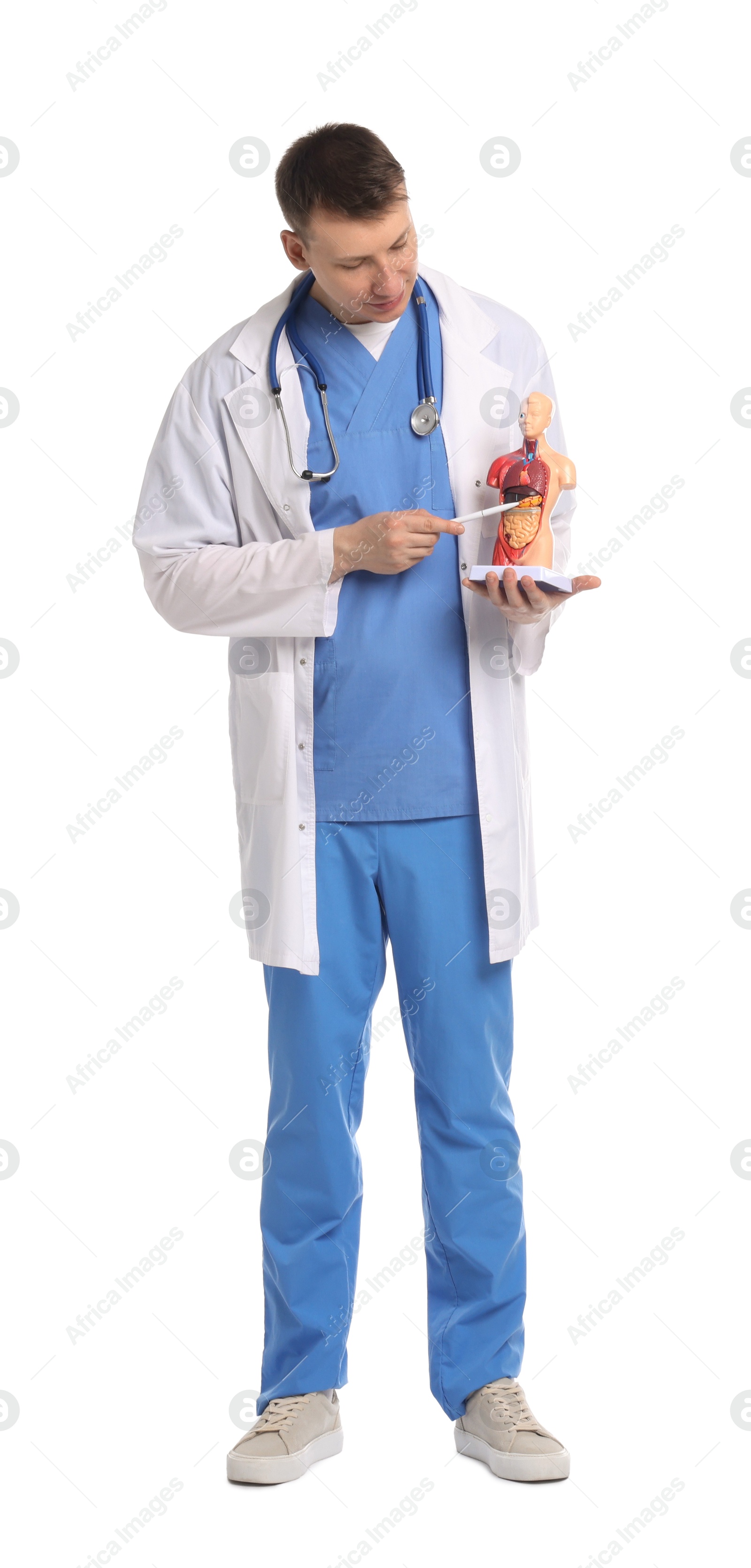 Medical student with human body model on white background Photo of Medical student with human body model on white background