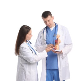 Photo of Medical student with human body model on white background