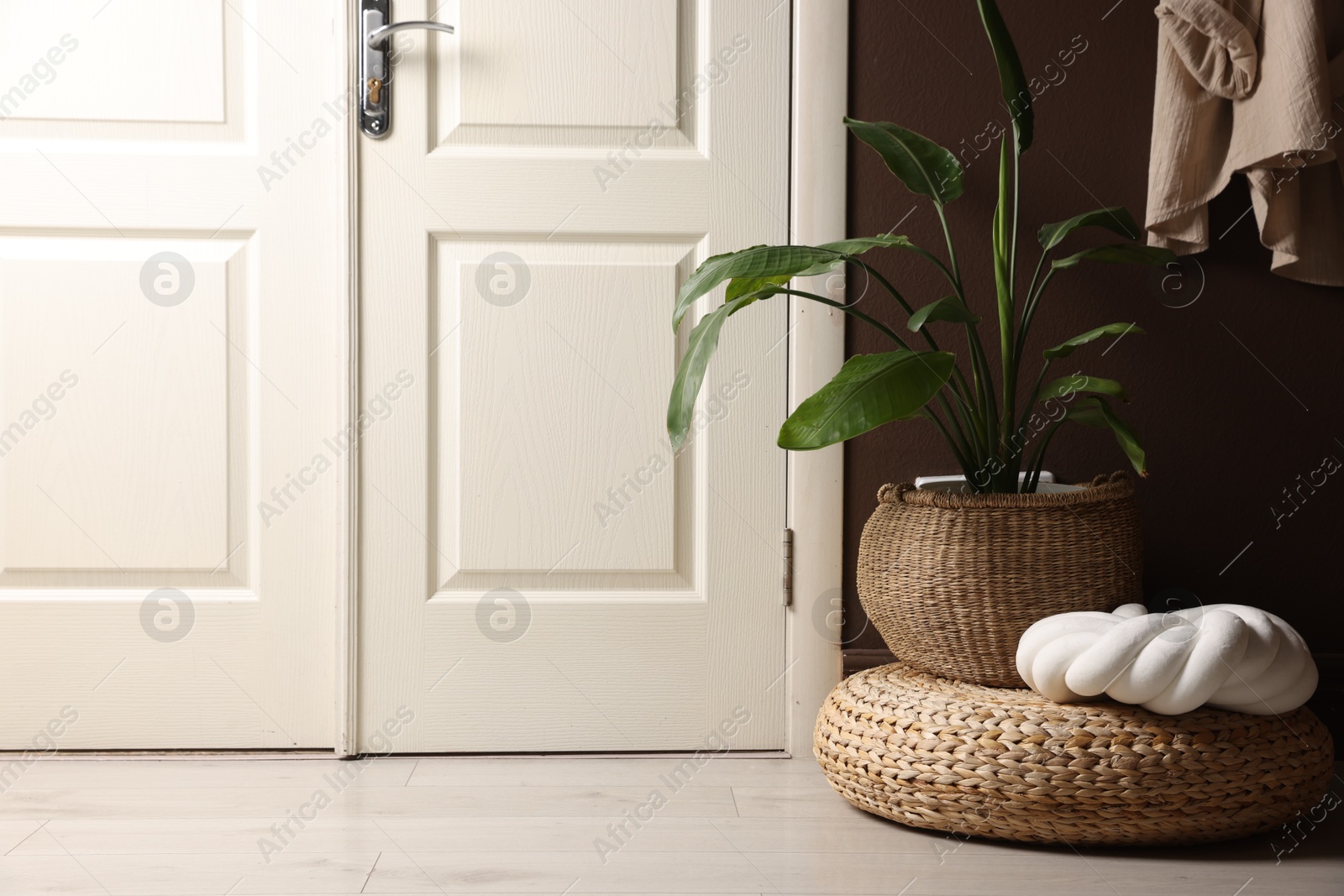 Stylish wicker pouf with houseplant and cushion at home Photo of Stylish wicker pouf with houseplant and cushion at home