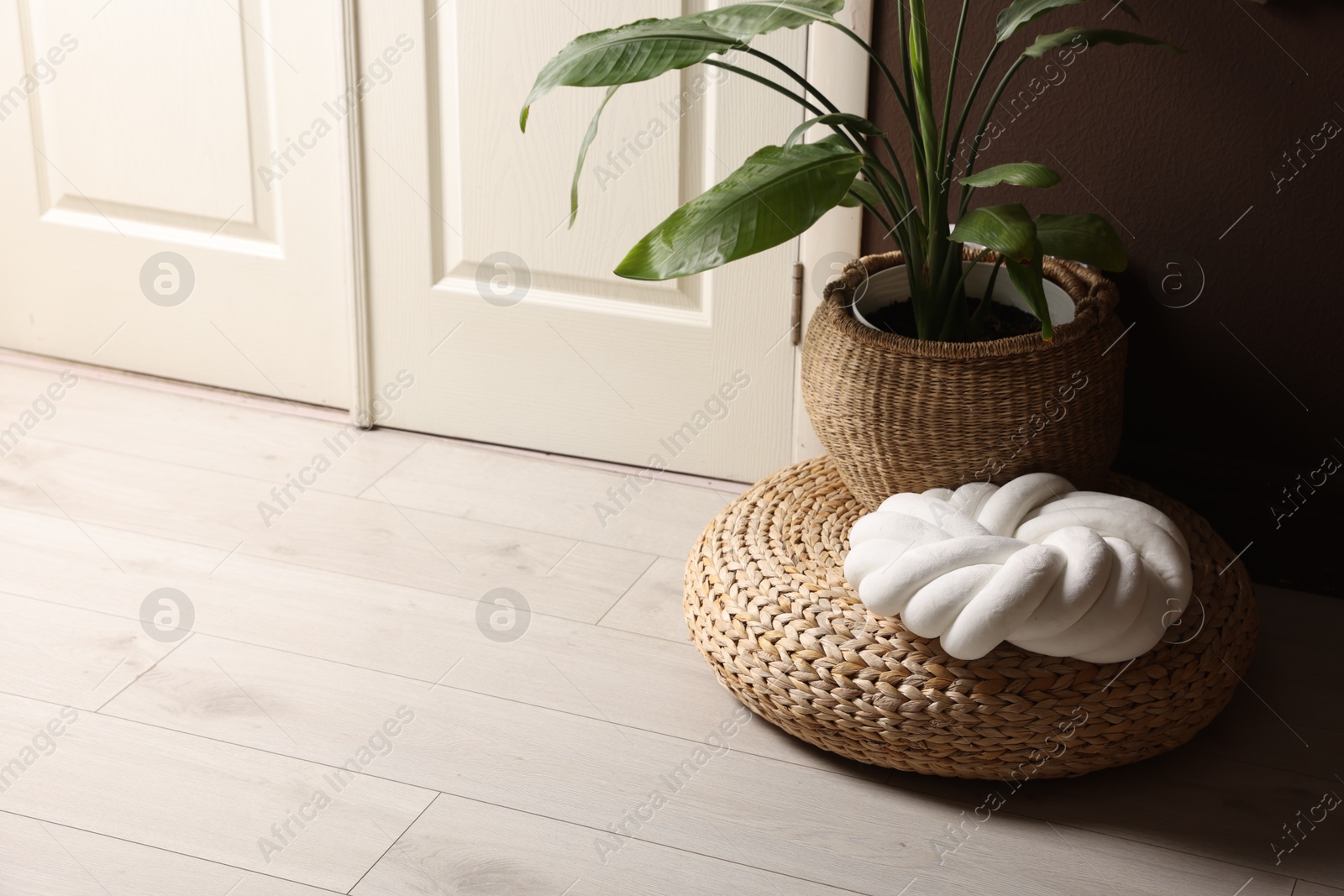 Stylish wicker pouf with houseplant and cushion at home. Space for text Photo of Stylish wicker pouf with houseplant and cushion at home. Space for text