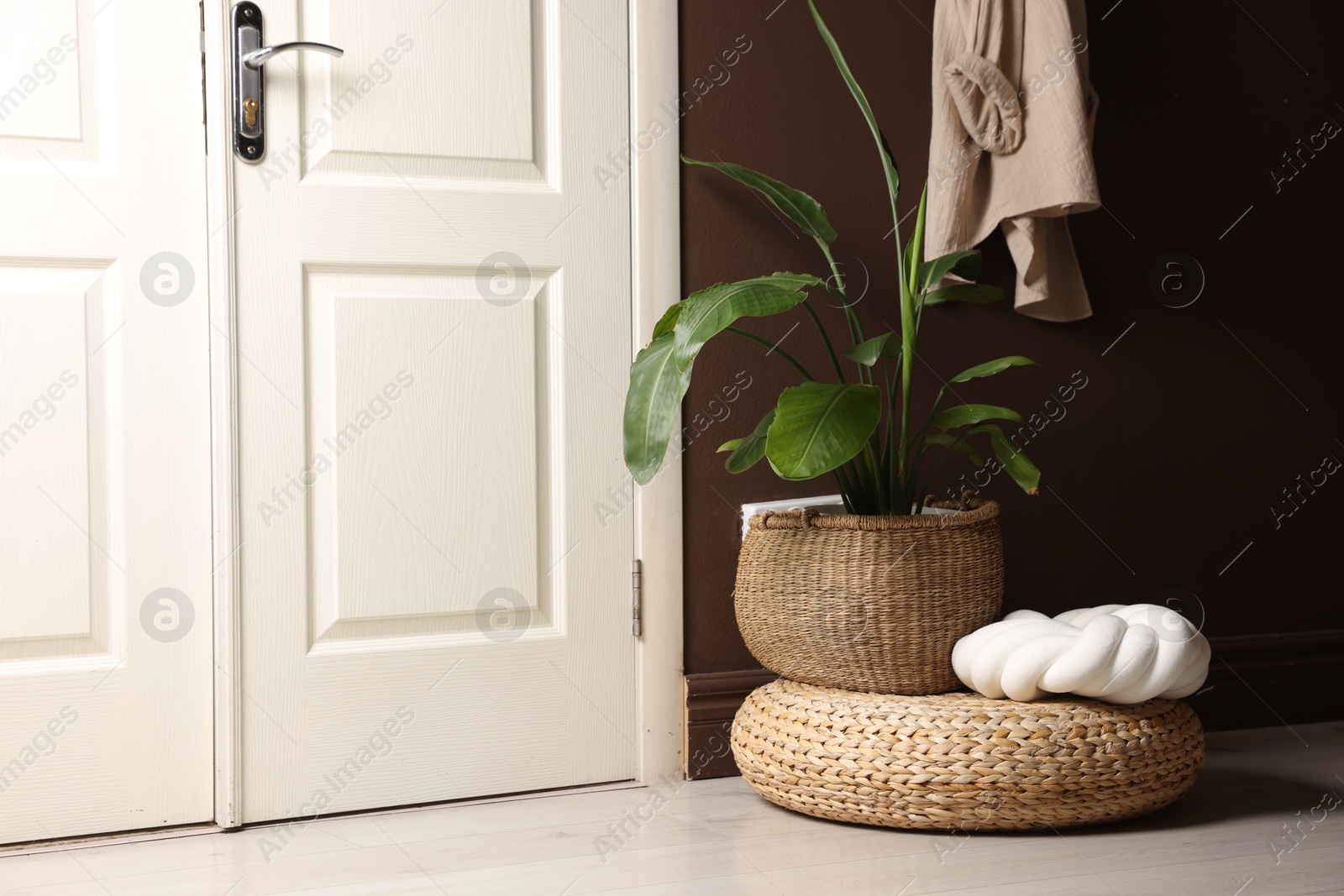 Stylish wicker pouf with houseplant and cushion at home Photo of Stylish wicker pouf with houseplant and cushion at home